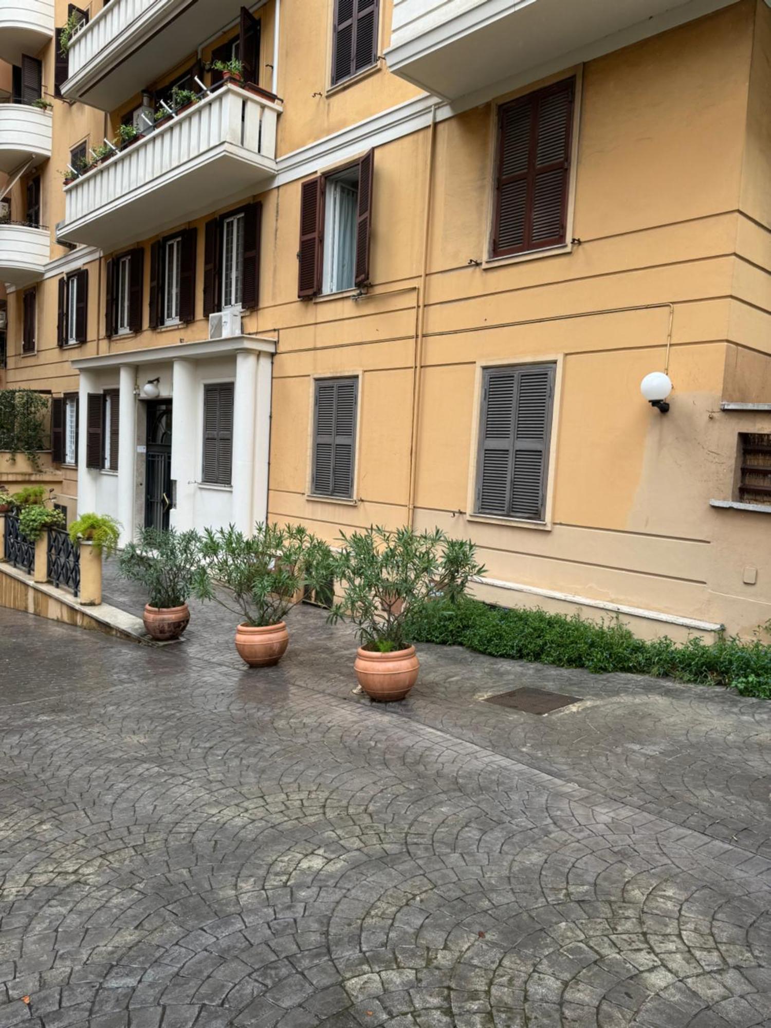 Zama Living Rom